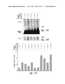 COMPOSITIONS AND METHODS FOR TREATMENT OF NEURODEGENERATIVE DISEASES diagram and image