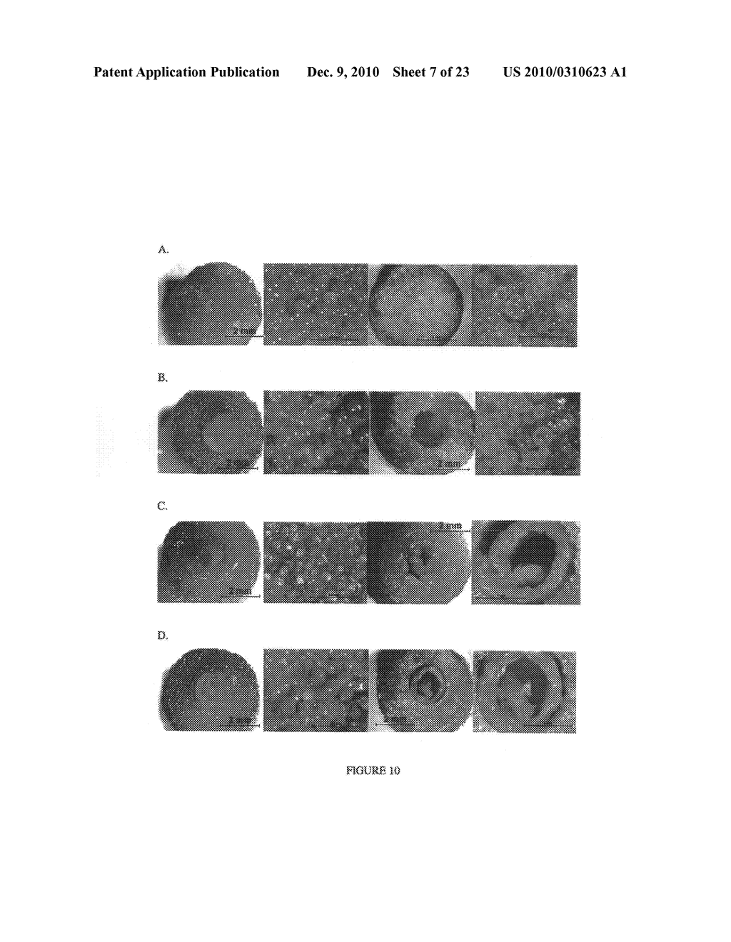 Synergetic functionalized spiral-in-tubular bone scaffolds - diagram, schematic, and image 08