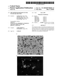 DRY POWDER MICROPARTICLES FOR PULMONARY DELIVERY diagram and image