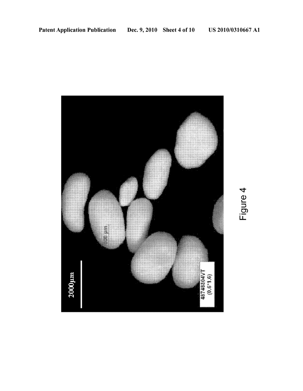 CONTROLLED-RELEASE FLOATING PHARMACEUTICAL COMPOSITIONS - diagram, schematic, and image 05