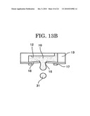 METHOD FOR PRODUCING CARRIER FOR ELECTROPHOTOGRAPHIC DEVELOPER, CARRIER FOR ELECTROPHOTOGRAPHIC DEVELOPER, ELECTROPHOTOGRAPHIC DEVELOPER, AND IMAGE FORMING METHOD diagram and image