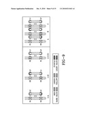 RNA complexes, method of their production and sensors and analytical methods involving same diagram and image