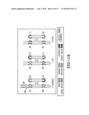 RNA complexes, method of their production and sensors and analytical methods involving same diagram and image