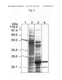 Calcium-binding photoprotein, gene encoding the same and use thereof diagram and image