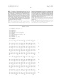 Calcium-binding photoprotein, gene encoding the same and use thereof diagram and image