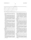 Calcium-binding photoprotein, gene encoding the same and use thereof diagram and image