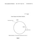 Mitochondrial DNA Deletion Between About Residues 12317-16254 for Use in the Detection of Cancer diagram and image