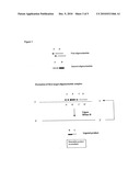 METHODS AND COMPOSITIONS FOR GENERATION OF MULTIPLE COPIES OF NUCLEIC ACID SEQUENCES AND METHODS OF DETECTION THEREOF diagram and image