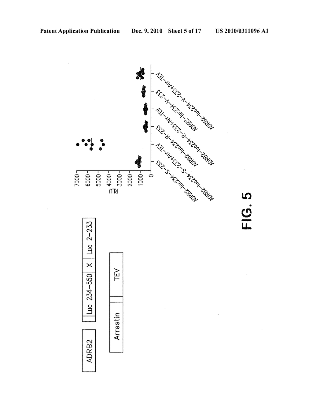 IDENTIFYING MOLECULES MODULATING PROTEIN-PROTEIN INTERACTIONS USING PROTEASE ACTIVATED REPORTERS - diagram, schematic, and image 06