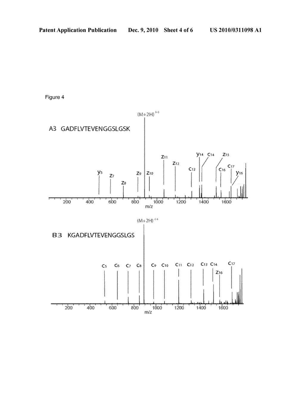 METHOD FOR DETERMINING THE AMINO ACID SEQUENCE OF PEPTIDES - diagram, schematic, and image 05