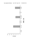 METHODS OF DELIVERY OF EXOGENOUS PROTEINS TO THE CYTOSOL AND USES THEREOF diagram and image