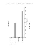 METHODS OF DELIVERY OF EXOGENOUS PROTEINS TO THE CYTOSOL AND USES THEREOF diagram and image