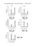 METHODS OF DELIVERY OF EXOGENOUS PROTEINS TO THE CYTOSOL AND USES THEREOF diagram and image