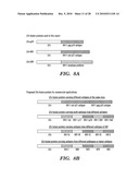 METHODS OF DELIVERY OF EXOGENOUS PROTEINS TO THE CYTOSOL AND USES THEREOF diagram and image