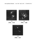 METHODS OF DELIVERY OF EXOGENOUS PROTEINS TO THE CYTOSOL AND USES THEREOF diagram and image