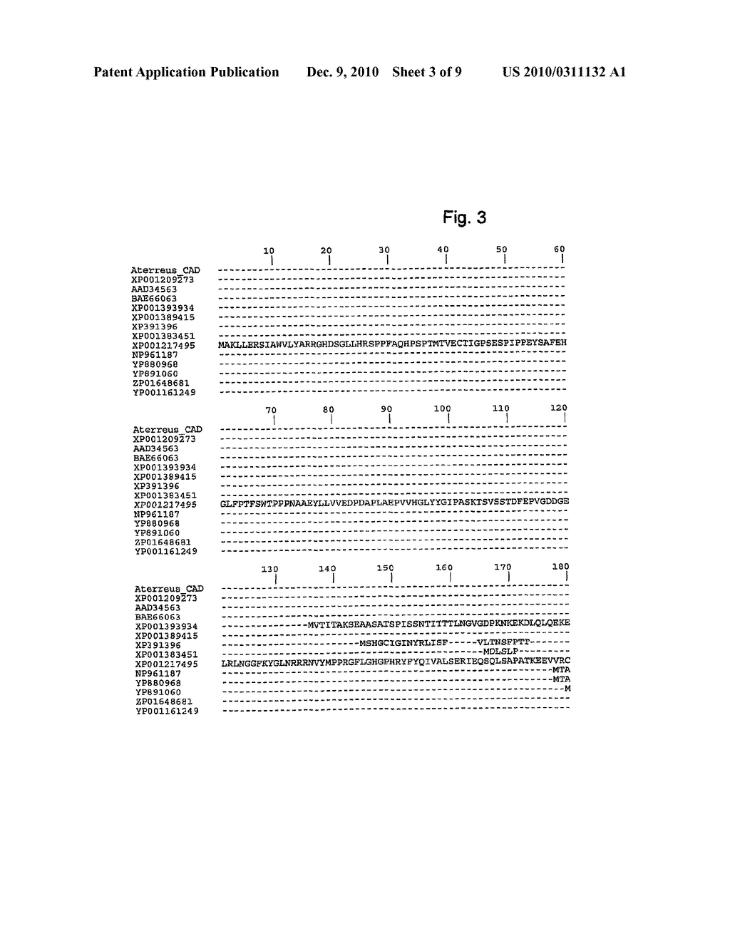 PRODUCTION OF ITACONIC ACID - diagram, schematic, and image 04