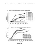 Microorganisms Having Enhanced Tolerance To Inhibitors and Stress diagram and image