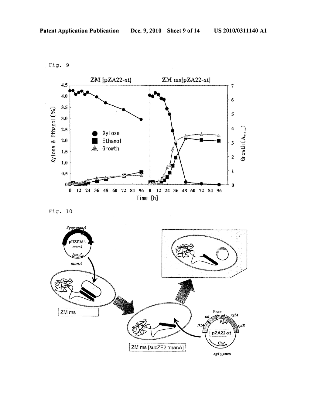 BACTERIUM CAPABLE OF FERMENTING GLUCOSE, MANNOSE AND XYLOSE SIMULTANEOUSLY, AND METHOD FOR PRODUCTION OF BIOETHANOL USING THE BACTERIUM - diagram, schematic, and image 10