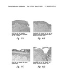 ELECTROKINETICALLY-ALTERED FLUIDS COMPRISING CHARGE-STABILIZED GAS-CONTAINING NANOSTRUCTURES diagram and image