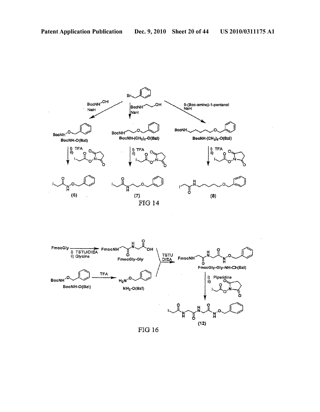 MASS TAGS FOR QUANTITATIVE ANALYSES - diagram, schematic, and image 21