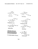 Labelled nucleotides diagram and image