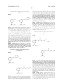 Labelled nucleotides diagram and image