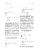 Labelled nucleotides diagram and image