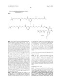 Labelled nucleotides diagram and image