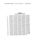 Novel Receptor Nucleic Acids and Polypeptides diagram and image