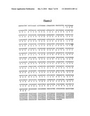 Novel Receptor Nucleic Acids and Polypeptides diagram and image