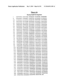 Novel Receptor Nucleic Acids and Polypeptides diagram and image