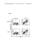 Novel Receptor Nucleic Acids and Polypeptides diagram and image