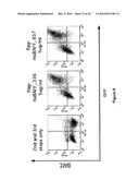 Novel Receptor Nucleic Acids and Polypeptides diagram and image