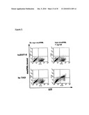 Novel Receptor Nucleic Acids and Polypeptides diagram and image