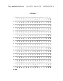 Novel Receptor Nucleic Acids and Polypeptides diagram and image