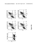 Novel Receptor Nucleic Acids and Polypeptides diagram and image