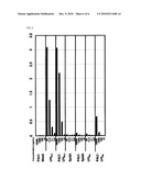 METHOD TO PREPARE MAGNETIC BEADS CONJUGATED WITH SMALL COMPOUNDS diagram and image