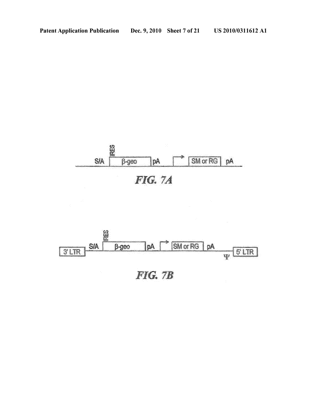 Compositions and Methods for Making Mutations in Cell Lines and Animals - diagram, schematic, and image 08