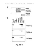 RNA-MEDIATED EPIGENETIC REGULATION OF GENE TRANSCRIPTION diagram and image