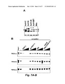 RNA-MEDIATED EPIGENETIC REGULATION OF GENE TRANSCRIPTION diagram and image