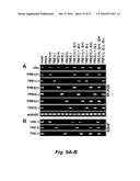 RNA-MEDIATED EPIGENETIC REGULATION OF GENE TRANSCRIPTION diagram and image