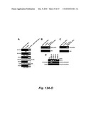 RNA-MEDIATED EPIGENETIC REGULATION OF GENE TRANSCRIPTION diagram and image