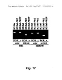 RNA-MEDIATED EPIGENETIC REGULATION OF GENE TRANSCRIPTION diagram and image