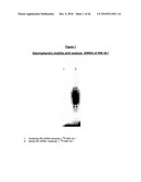 ANTIANDROGEN OLIGONUCLEOTIDES USABLE FOR THE TREATMENT OF DERMATOLOGICAL ANDROGEN-RELATED DISORDERS RELATING TO ANDROGEN METABOLISM, THEIR PHARMACEUTICAL COMPOSITIONS, THEIR USES AND TREATMENT METHOD diagram and image