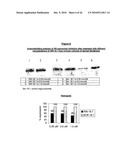 ANTIANDROGEN OLIGONUCLEOTIDES USABLE FOR THE TREATMENT OF DERMATOLOGICAL ANDROGEN-RELATED DISORDERS RELATING TO ANDROGEN METABOLISM, THEIR PHARMACEUTICAL COMPOSITIONS, THEIR USES AND TREATMENT METHOD diagram and image