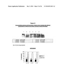 ANTIANDROGEN OLIGONUCLEOTIDES USABLE FOR THE TREATMENT OF DERMATOLOGICAL ANDROGEN-RELATED DISORDERS RELATING TO ANDROGEN METABOLISM, THEIR PHARMACEUTICAL COMPOSITIONS, THEIR USES AND TREATMENT METHOD diagram and image