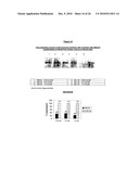 ANTIANDROGEN OLIGONUCLEOTIDES USABLE FOR THE TREATMENT OF DERMATOLOGICAL ANDROGEN-RELATED DISORDERS RELATING TO ANDROGEN METABOLISM, THEIR PHARMACEUTICAL COMPOSITIONS, THEIR USES AND TREATMENT METHOD diagram and image