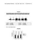 ANTIANDROGEN OLIGONUCLEOTIDES USABLE FOR THE TREATMENT OF DERMATOLOGICAL ANDROGEN-RELATED DISORDERS RELATING TO ANDROGEN METABOLISM, THEIR PHARMACEUTICAL COMPOSITIONS, THEIR USES AND TREATMENT METHOD diagram and image