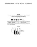 ANTIANDROGEN OLIGONUCLEOTIDES USABLE FOR THE TREATMENT OF DERMATOLOGICAL ANDROGEN-RELATED DISORDERS RELATING TO ANDROGEN METABOLISM, THEIR PHARMACEUTICAL COMPOSITIONS, THEIR USES AND TREATMENT METHOD diagram and image