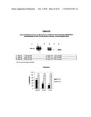 ANTIANDROGEN OLIGONUCLEOTIDES USABLE FOR THE TREATMENT OF DERMATOLOGICAL ANDROGEN-RELATED DISORDERS RELATING TO ANDROGEN METABOLISM, THEIR PHARMACEUTICAL COMPOSITIONS, THEIR USES AND TREATMENT METHOD diagram and image